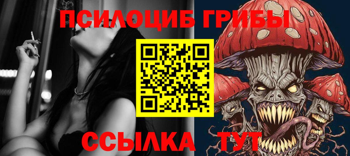 Псилоцибиновые грибы мухоморы Прокопьевск