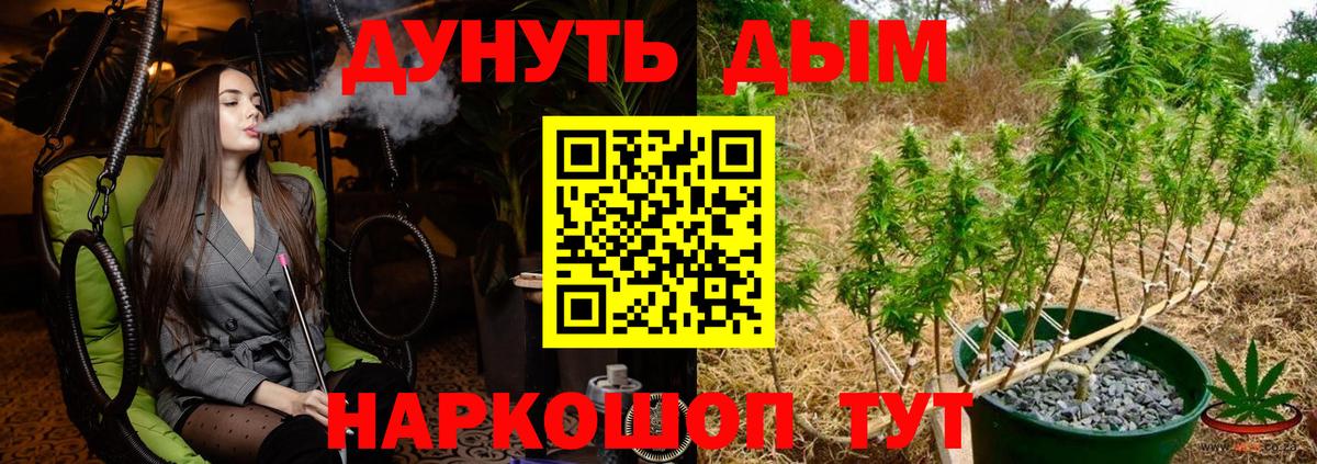 Шишки марихуана семена  Вход с VPN  Марихуана SATIVA & INDICA  Прокопьевск 